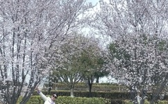 两个人一前一后的上我三明治